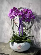 گلدان ارکیده 1