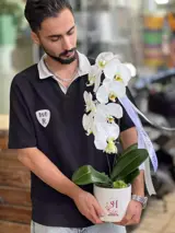 گلدان ارکیده 1 شاخه