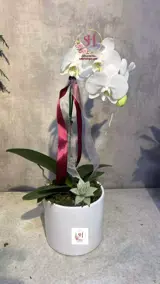 گلدان ارکیده 4