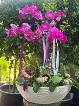 گلدان ارکیده 4 شاخه