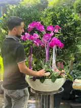 گلدان ارکیده 4 شاخه