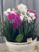 گلدان ارکیده 4 شاخه